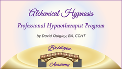 Professional Hypnotherapy Program